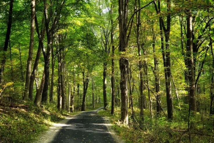Top Outdoor Festivals and Events in Richmond, Indiana This May