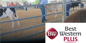 Hotels Near the Wayne County Fair in Richmond, Indiana | Best Western Plus